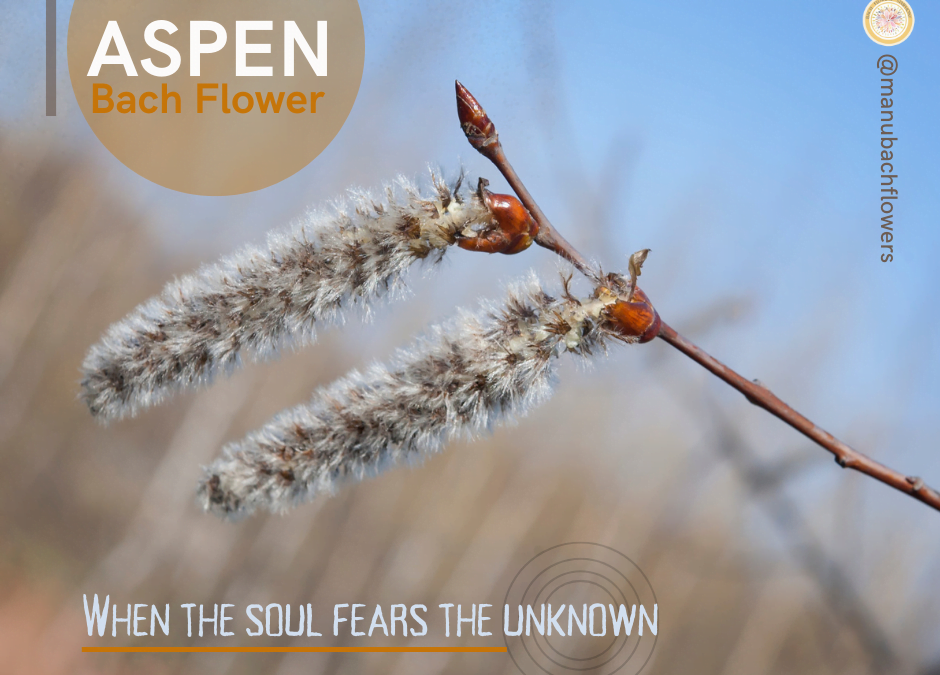 Bach Flower Aspen: When the soul fears the unknown